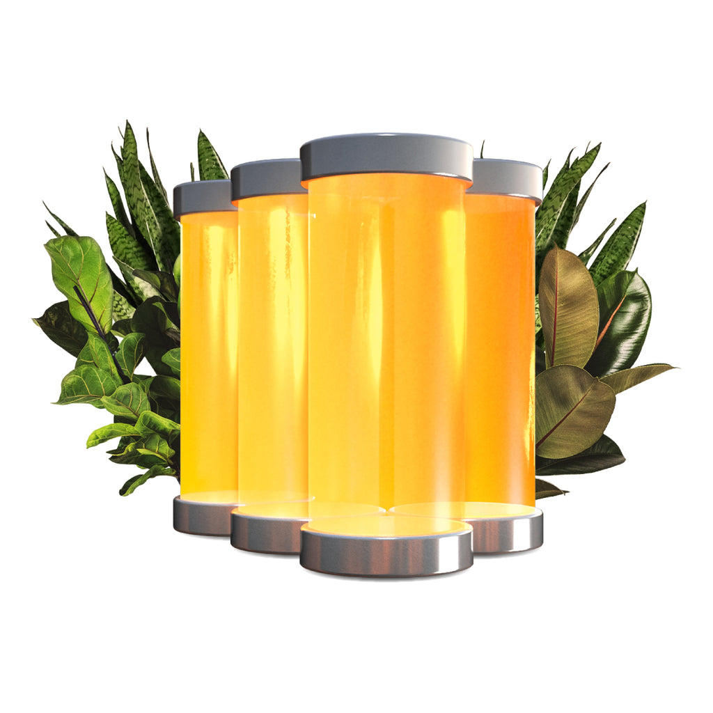 Green Thumb (Umi 4-Pack)