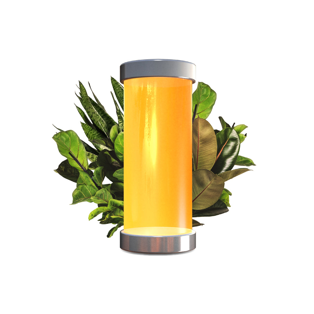 Umi Luminescent Lantern